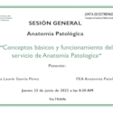 Conceptos básicos y funcionamiento del servicio de Anatomía Patológica