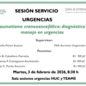 Traumatismo craneoencefálico: diagnóstico y manejo en urgencias