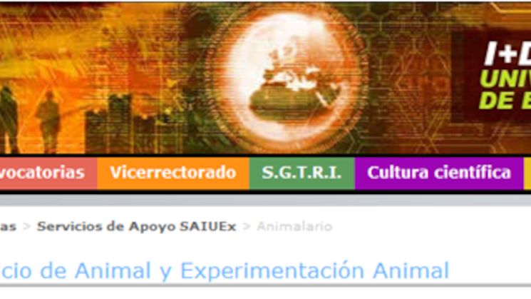 uexanimal uexanimal