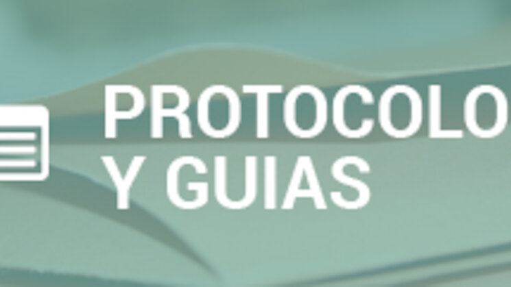 Protocolos y Guas Clnicas