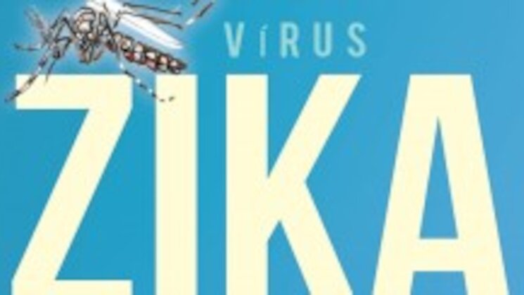 Infeccin por el Zika virus Infeccin por el Zika virus