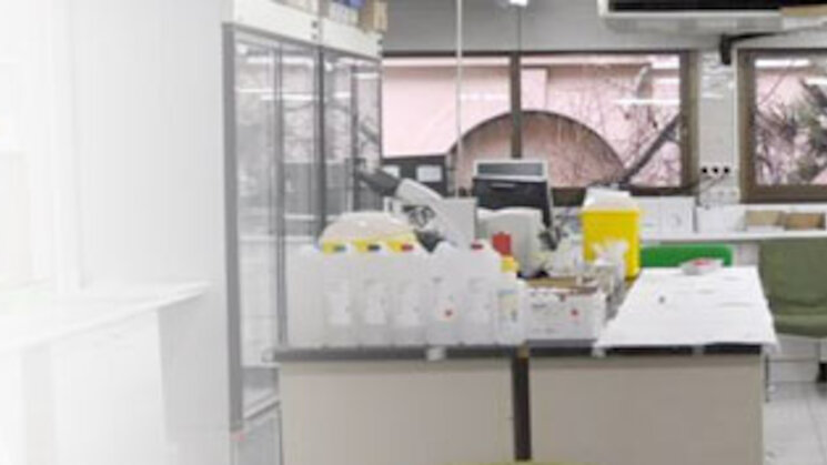 Laboratorio Laboratorio