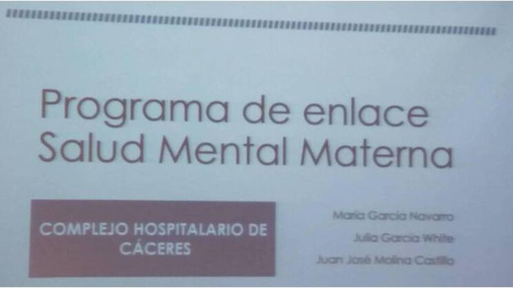 Programa salud mental materna