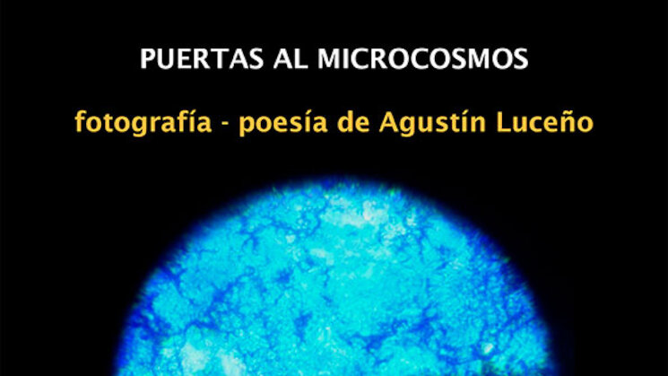 Exposicin Puertas al microcosmos Exposicin Puertas al microcosmos