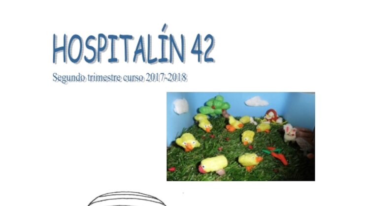 Hospitaln 42