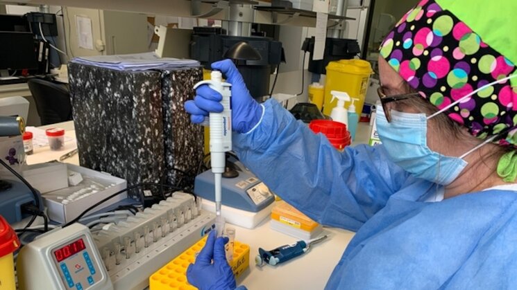 Laboratorio Test PCR eldiarioes Laboratorio Test PCR eldiarioes