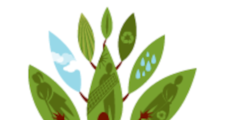 Seguridad y Salud en una Economa Verde