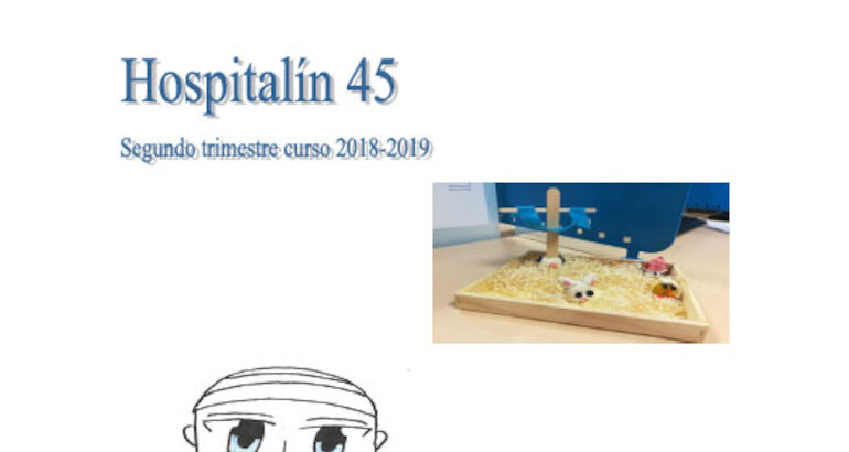 Hospitaln N 45   Curso 201819