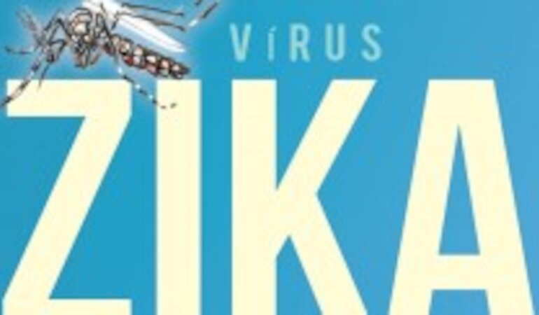 Infeccin por el Zika virus