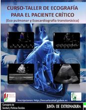 Curso Ecografía para el paciente crítico (Ecopulmonar y Ecocardiografía transtorácica). 