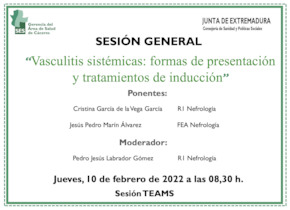 Vasculitis sistémicas: formas de presentación y tratamientos de inducción