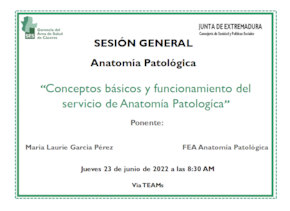 Conceptos básicos y funcionamiento del servicio de Anatomía Patológica