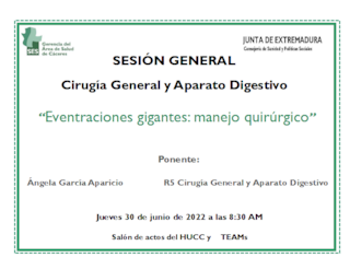 Eventraciones gigantes: manejo quirúrgico
