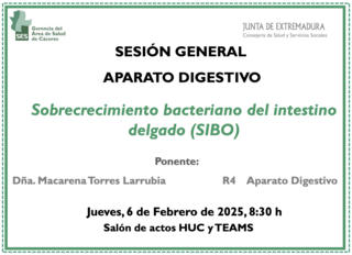 Sobrecrecimiento bacteriano del intestino delgado (SIBO)