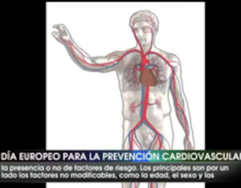 Enfermedades Cardiovasculares