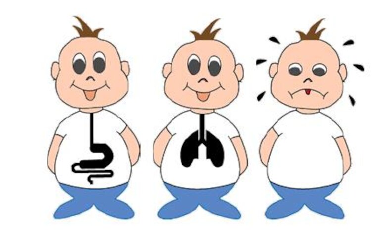 Fibrosis qustica