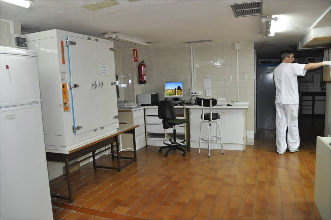 Unidad de Enfermería de Análisis Clínicos Hospital  Universitario de Cáceres
