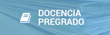 Docencia Pregrado (docencia)