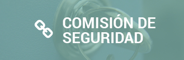 Comisión seguridad