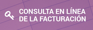 Consulta en línea de facturación