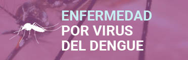 V Dengue 3R