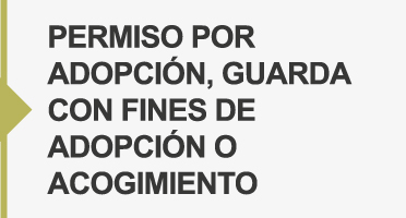  Imagen con enlace a FAP PERMISO POR ADOPCIÓN, GUARDA CON FINES DE ADOPCIÓN O ACOGIMIENTO